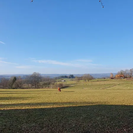 Eifel Oase By Interhome Сasa de vacaciones Aquisgrán