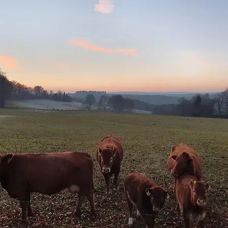 Сasa de vacaciones Eifel Oase By Interhome Aquisgrán