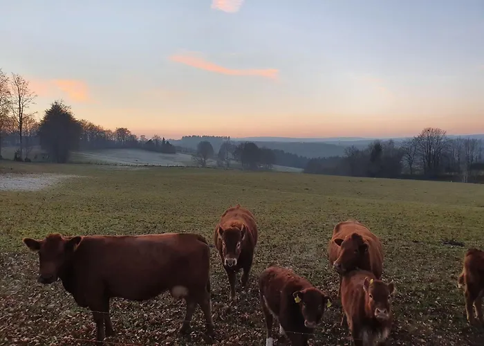 Σπίτι διακοπών Eifel Oase By Interhome Άαχεν